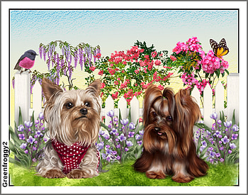 PUPPY PALS, ART, PUPPIES, , ABSTRACT HD wallpaper