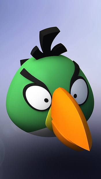 Angry Birds, Green Bird HD phone wallpaper