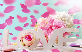 pink, flowers, abstract, love HD wallpaper
