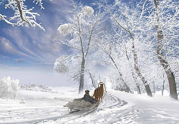 Merry Christmas, winter, sledge, horse, snow, christmas, landscape HD wallpaper