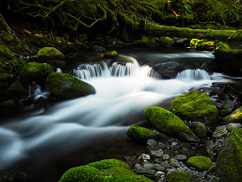 Nature, Water, Rivers, Stones, Moss, Creek, Brook HD wallpaper