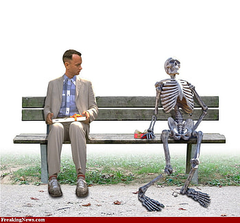 My momma used to say, life is like a box of chocolates. You'll never know which one you'll get., other, funny, people, entertainment HD wallpaper