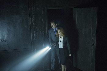 Gillian Anderson , ultra , Background , Stunning visuals HD wallpaper