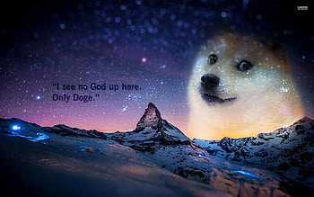 doge - Google Search HD wallpaper