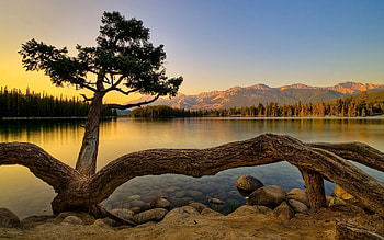 Landscape, Water, Trees, Lakes HD wallpaper