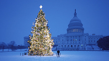 Christmas at the capitol building, capitol, lights, snow, christmas, tree HD wallpaper