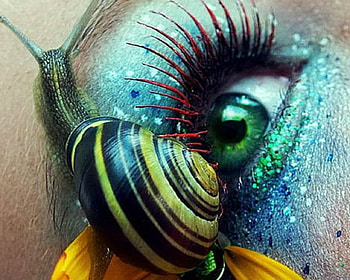 Snail and Eye Make Up, makeup, eye, snail, art HD wallpaper