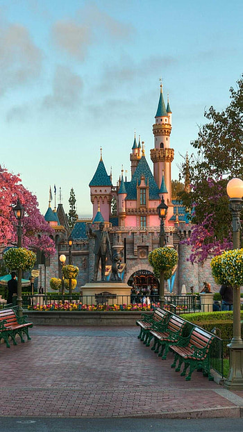 Disney Animation, , Stunning artwork, Immersive experience HD phone wallpaper