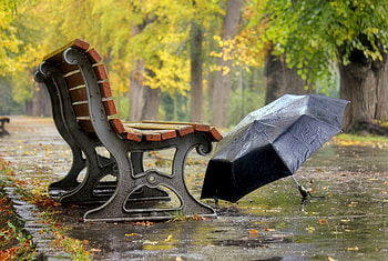 Rainy Day, Park, Bench, Rain, Umbrella HD wallpaper