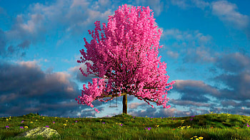Mesmerizing tree visuals, High-resolution beauty, Nature's splendor, Captivating backgrounds HD wallpaper