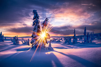 Winter Paradise, winter, frost, snow, landscape, trees, paradise, nature, sunset HD wallpaper
