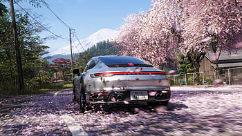 Porsche 911 Carrera Forza Horizon 6, porsche-911, forza-horizon-6, games, 2025-games, ps5-games, ps4-games, xbox-one-games, xbox-games, pc-games, video-games HD wallpaper