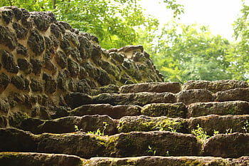 Explore these ancient, moss-covered stone stairs leading through a dense, vibrant forest. HD wallpaper