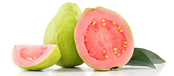 Local guava, Misiones province, Argentine fruit, Cultural heritage HD wallpaper