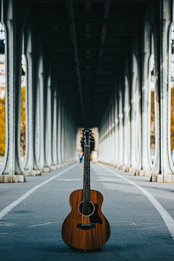 Guitar, Music, Musical Instrument, Vulture, Tunnel HD phone wallpaper