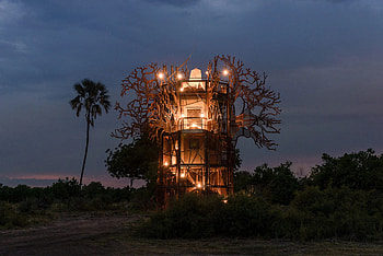 Okavango Delta, World's greatest, Natural wonders, Time magazine HD wallpaper