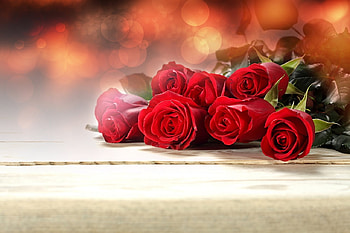 Red roses, Flowers, Roses, Bouquet, Red HD wallpaper