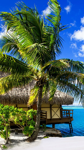 Maldives beauty, Stunning vacation, Paradise island, Ocean bungalow HD phone wallpaper