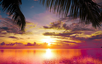 Aruba Island, Captivating sunsets, Beachside tranquility, Serene beauty HD wallpaper