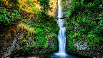 Waterfalls, nature, plants, rocks HD wallpaper
