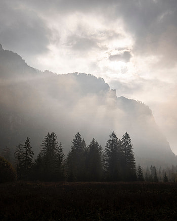 Nature, Trees, Sky, Mountains, Dark, Fog HD phone wallpaper