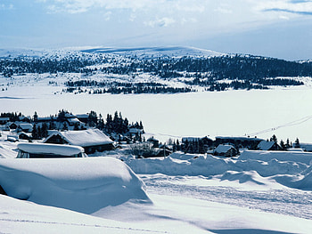 Winter, Nature, Snow, Forest, Village, Expanse, Open Spaces HD wallpaper