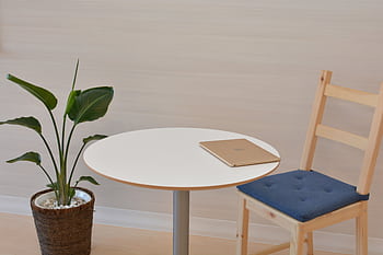 A sleek minimalist office space featuring a table with a laptop and a potted indoor plant beside a wooden chair. HD wallpaper