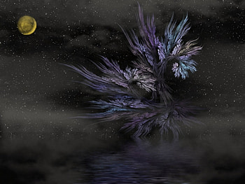 Night time, night, abstract HD wallpaper