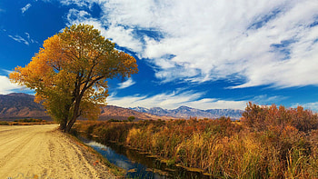 Bishop Canal, California, usa, leaves, fall, landscape, autumn, clouds, sky HD wallpaper