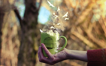 Birds, Hand, Miscellanea, Miscellaneous, Cup HD wallpaper