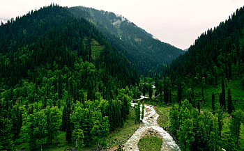 River, Nature, Kashmir, Pakistan, , Forest, Landscape, Tao Butt, Tree HD wallpaper
