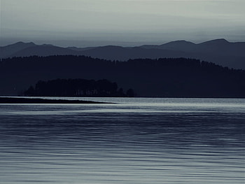 Night River, night, blue, river, graphy, cold, dark, mountain, gray, bulgaria, nature, , forest HD wallpaper