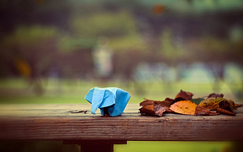 Leaves, Miscellanea, Miscellaneous, Paper, Elephant, Origami HD wallpaper