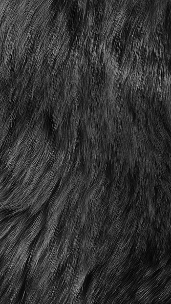 Black and white fur, Dark , Patterned texture, Stylish design HD phone wallpaper