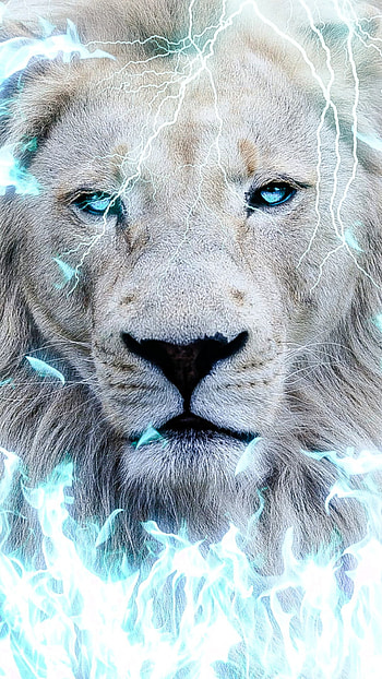 White Lion, eye, big_cats HD phone wallpaper