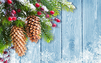 Merry Christmas!, blue, wood, craciun, christmas, green, red, card, berry HD wallpaper