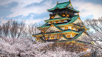 Osaka Castle, Travels, , Captivating view HD wallpaper