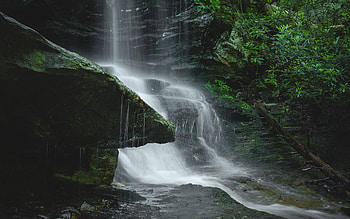 Waterfall, nature, forest, water HD wallpaper