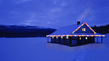 christmas at a lonely cabin, forest, lights, christmas, cabin HD wallpaper
