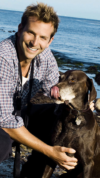 Bradley Cooper, , Mobile background, High-definition HD phone wallpaper