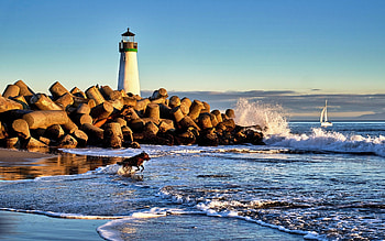 Lighthouse in California, USA, lighthouse, America, ocean, breakwater, sailboat HD wallpaper