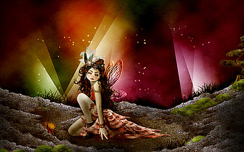 show time!, color, lights HD wallpaper