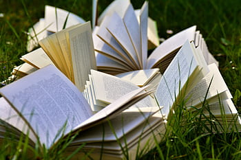 An artistic arrangement of open books in a grassy field, emphasizing a love for outdoor reading. HD wallpaper