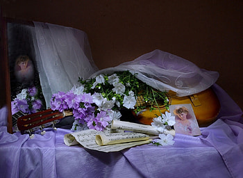 still life, abstract, graphy, vase, flowers HD wallpaper