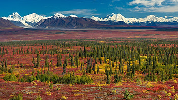 Red earth, landscapes, snowy peaks, mountains, forest HD wallpaper