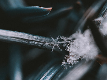 Winter, Nature, Macro, Snowflake HD wallpaper