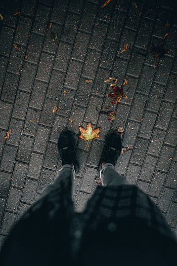 Autumn, Leaves, Miscellanea, Miscellaneous, Legs, Dry, Paving Stones, Sett HD phone wallpaper