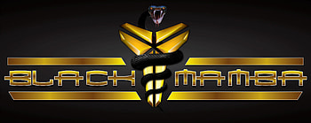 Mamba Logos - Black Mamba Logo Design - HD wallpaper