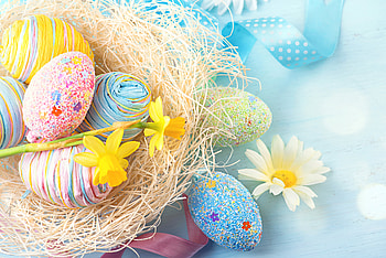 Easter, Flower, Holiday, Colorful, Easter Egg, Egg, Nest HD wallpaper