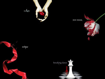 twiligh books, twilight, black, four books HD wallpaper